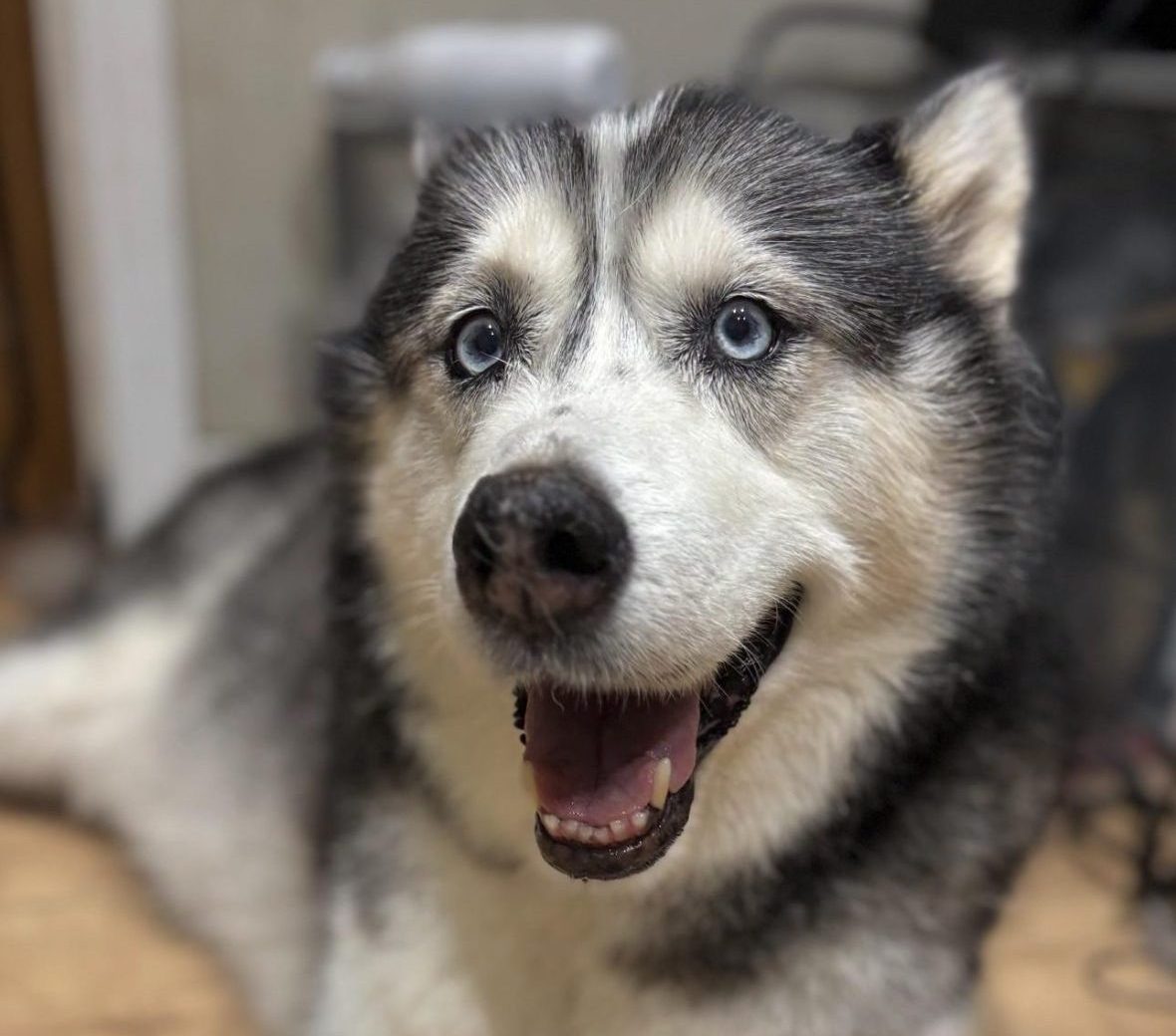 1b736cf0-00f2-4209-97b5-f8bb5461512b