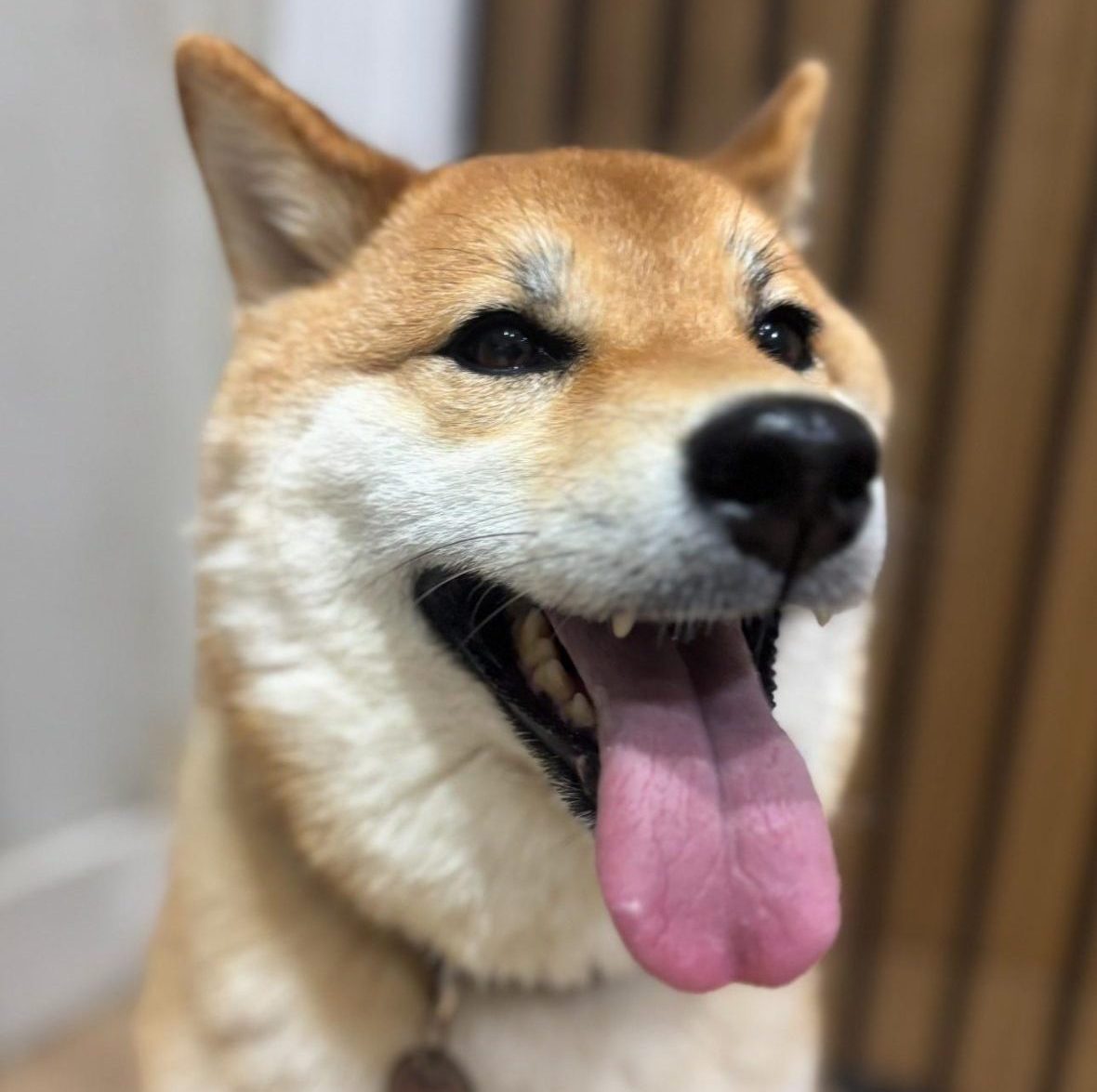 963878f8-e7e7-43fb-af2a-22faeebac310